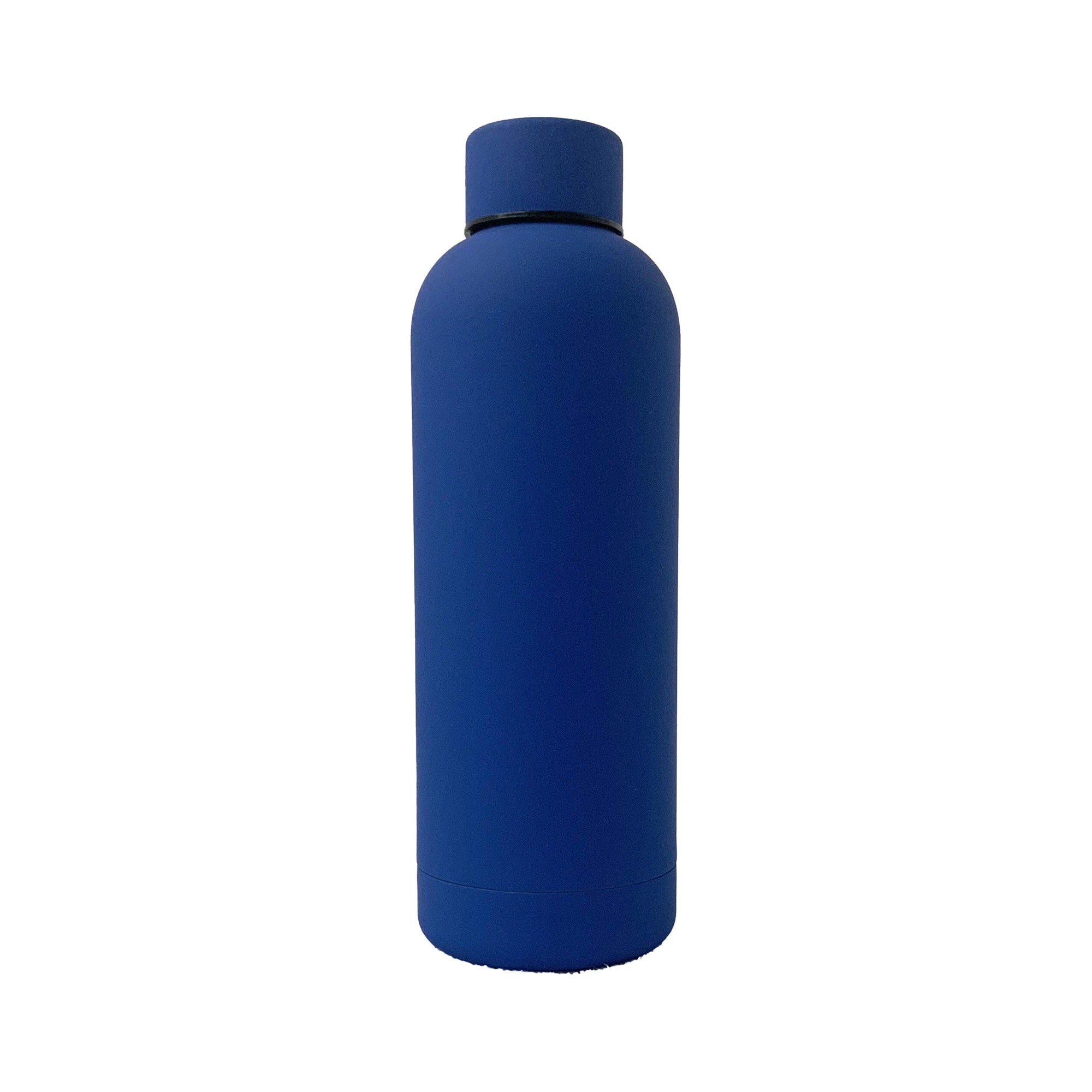 17oz insulated stainless steel water bottle