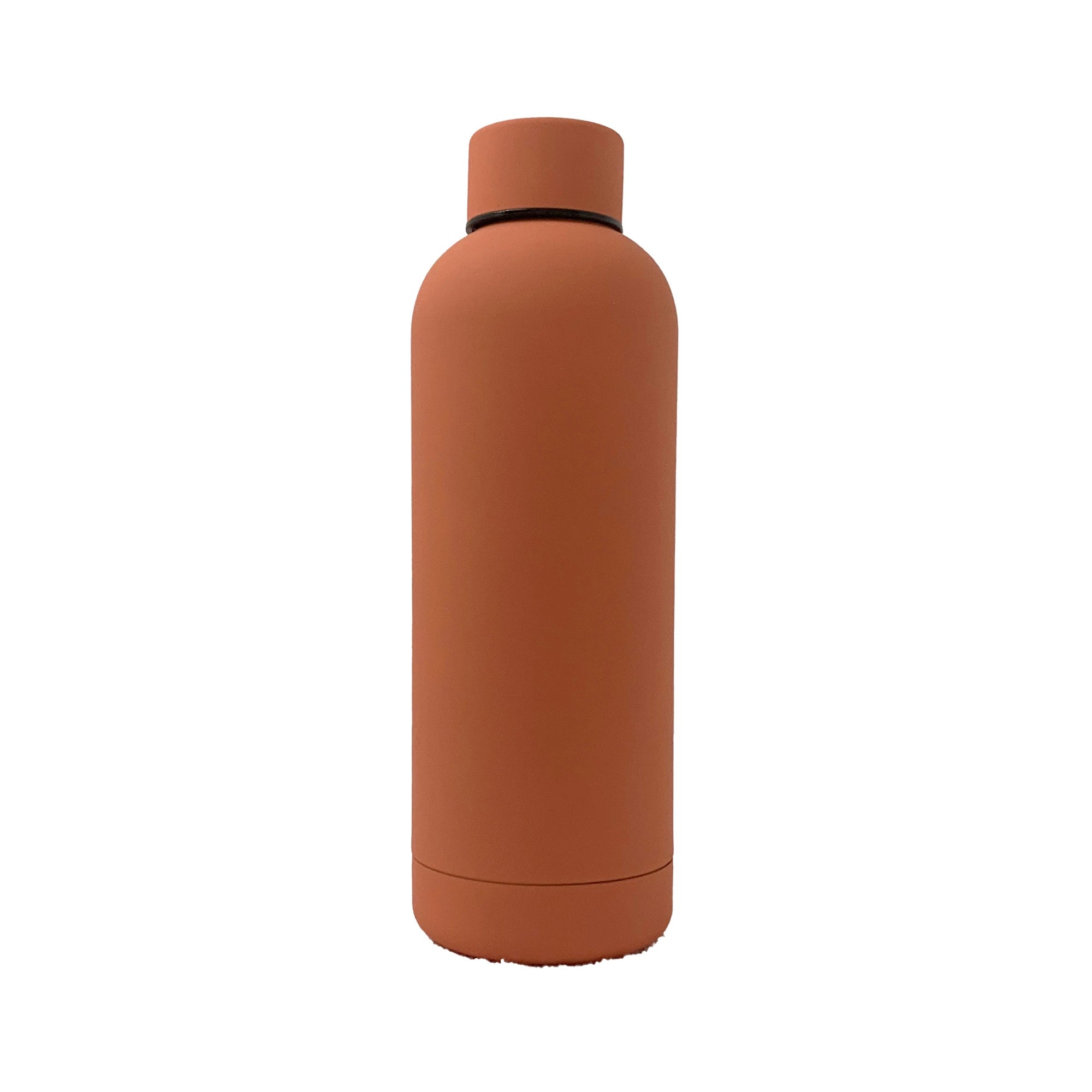 17oz insulated stainless steel water bottle