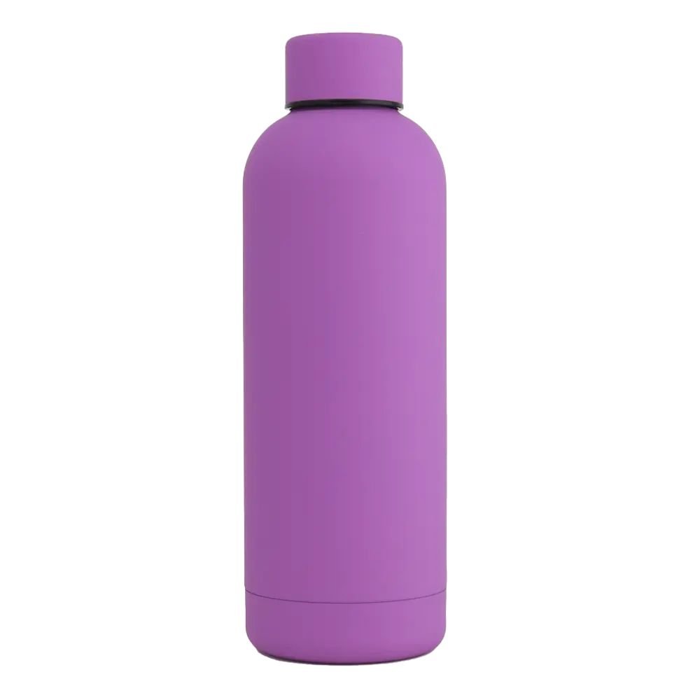 17oz insulated stainless steel water bottle